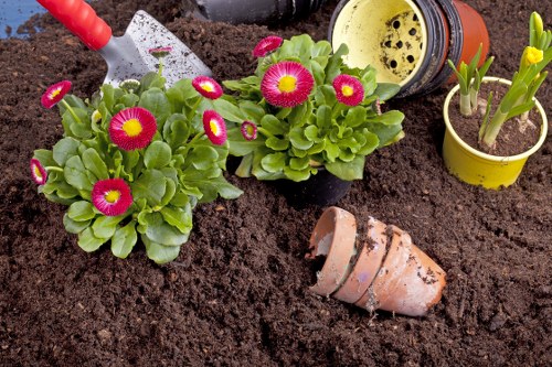Illustration representing accessible gardening information in Sands End