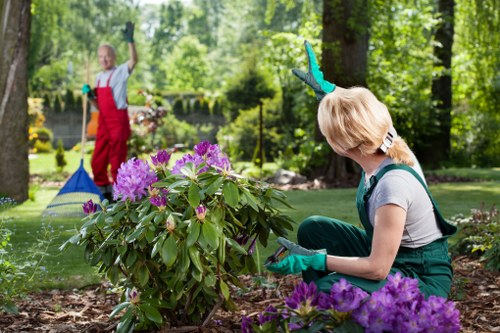 A final complaint outcome explained for a gardening service