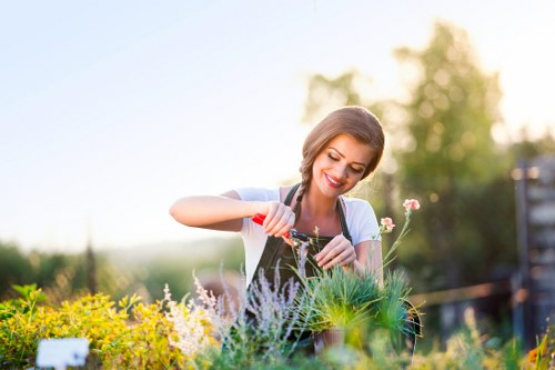 Freshly mown lawn in a Sands End garden
