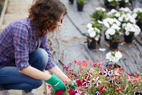 Garden maintenance in Sands End with tidy lawn and shrubs