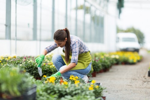 Local gardeners in Sands End caring for lawns and borders