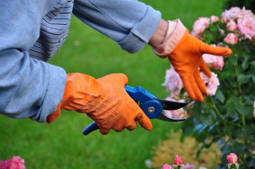 Cubic-yard estimate for a larger garden clearance in Sands End