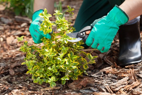 Charity donation of reusable garden items and tools