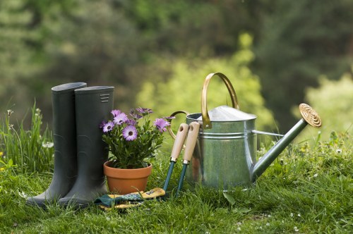 Maintaining a landscaped outdoor space in Sands End