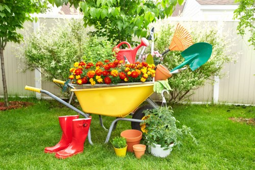 Stump grinding and tree removal service in Sands End