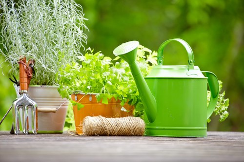 Regular lawn mowing in a Sands End residential garden