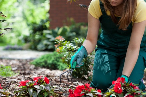 Garden clearance team tidying a property exterior in Sands End
