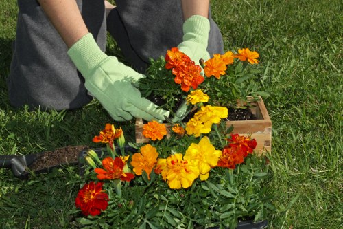 Local gardener improving a Sands End outdoor space