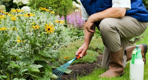 Regular policy review for gardening health and safety