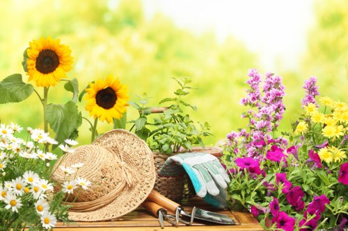Seasonal garden care by Sands End gardeners