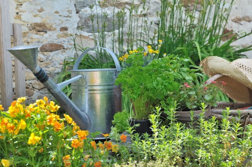 Professional garden maintenance in Sands End