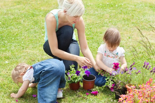 Safe tree maintenance and pruning near homes in Sands End