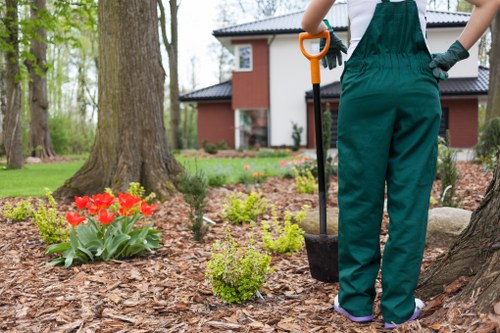 A complaints case being assessed in a garden maintenance context