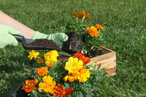 Professional grass cutting service in Sands End