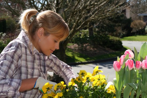 Seasonal garden care in Sands End with healthy planting beds