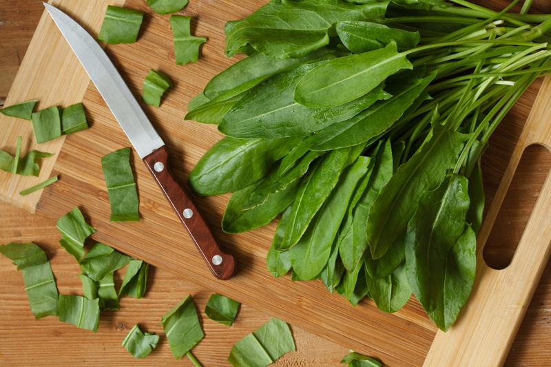flower borders garden