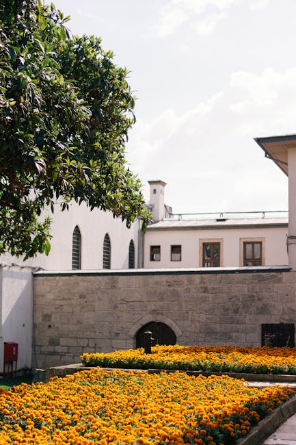 A cobblestone courtyard surrounded by white residential buildings with large windows, some adorned with window boxes and potted plants. The courtyard is lined with a variety of lush green trees, shrub