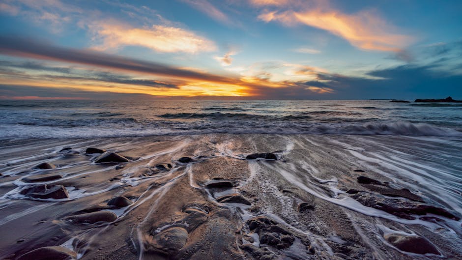 A coastal garden scene during sunset with a view of the beach, featuring wet, smooth stones and sand in the foreground, with gentle waves lapping onto the shore. In the background, there are lush gree